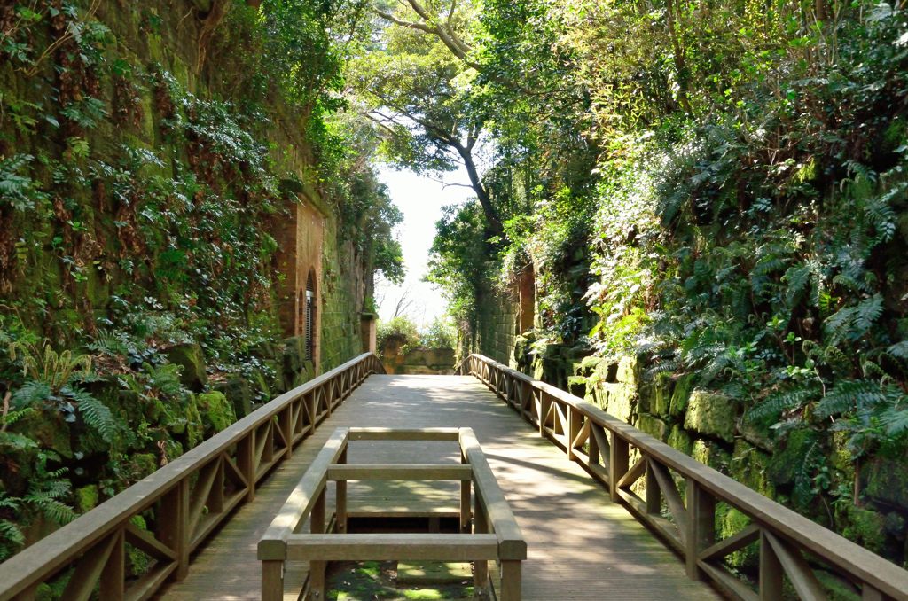 猿島要塞（切通）（猿島）