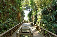 猿島要塞（切通）（猿島）