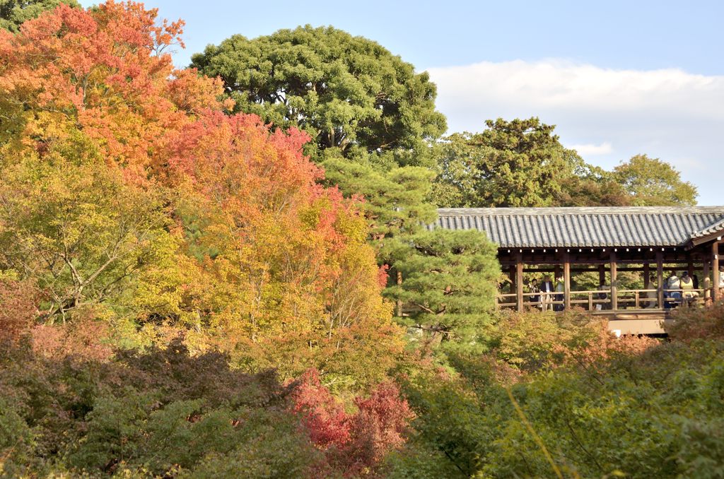 東福寺通天橋