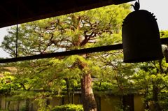 方丈の鐘（妙心寺塔頭大心院）