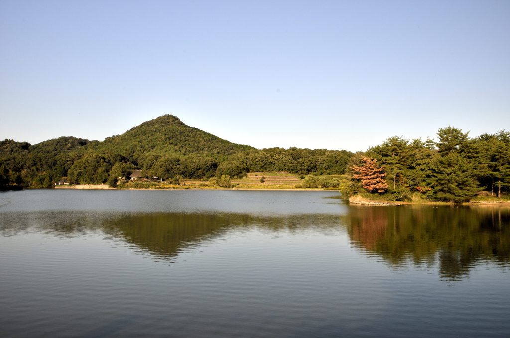 有馬富士公園＃１２