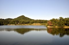 有馬富士公園＃１２