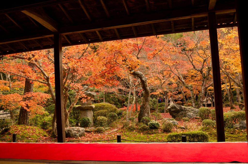圓光寺（十牛之庭）