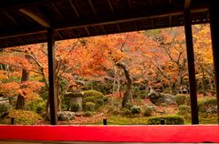 圓光寺（十牛之庭）