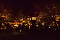 モミジ・燈籠