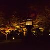 モミジ・燈籠