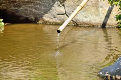 池の波紋（円覚寺）