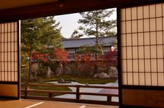 高台寺・紅葉２０１３（１）