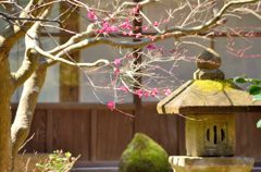 石灯篭(円覚寺)