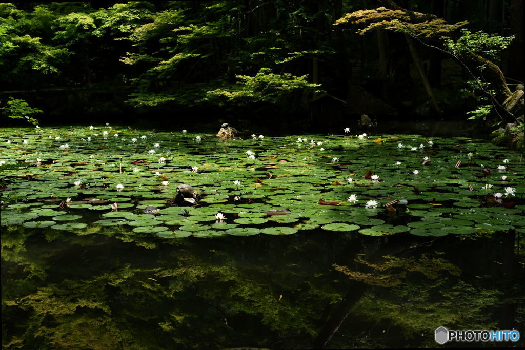 静寂