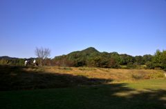 有馬富士公園＃５