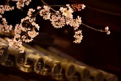 醍醐の花見＃４