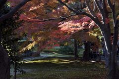 東福寺・紅葉２０１３（３）