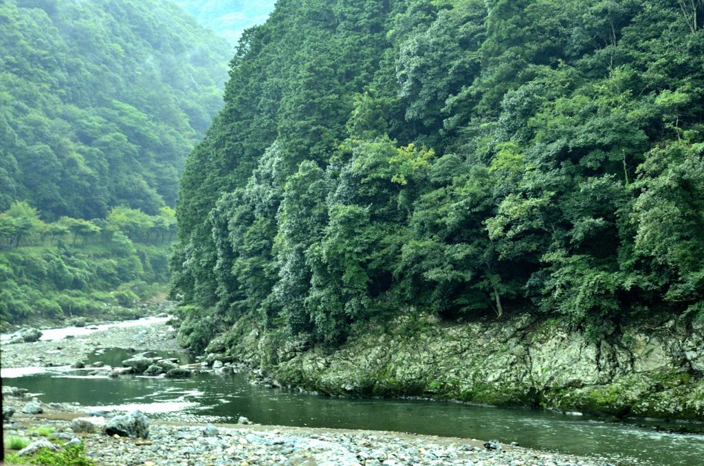 トロッコ列車内から