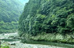 トロッコ列車内から