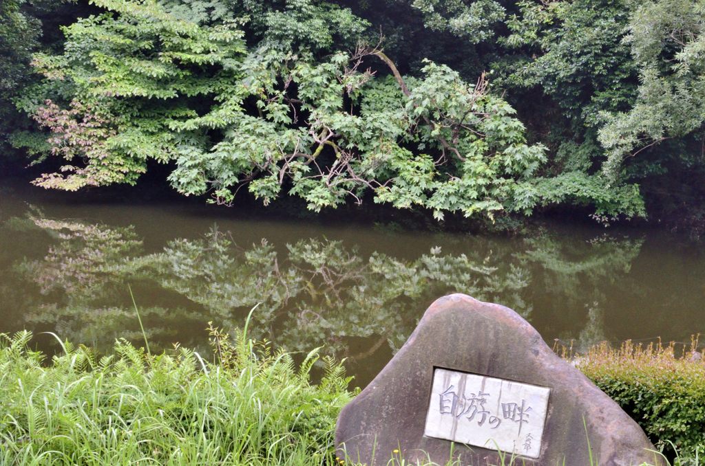 池に映える＃１