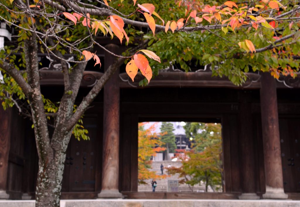 金戒光明寺・紅葉（１）
