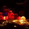 高台寺ライトアップ＃１