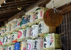 毎晩、お世話になってま～す！