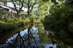 醒井・地蔵川