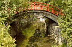 下鴨神社・御手洗池