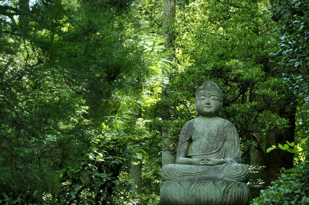 緑の中の仏様