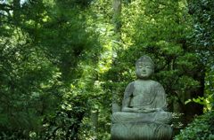 緑の中の仏様