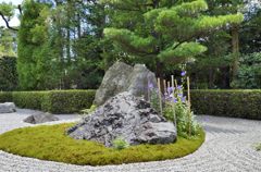 妙心寺（退蔵院「陽の庭」）