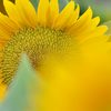 夏も終焉へ