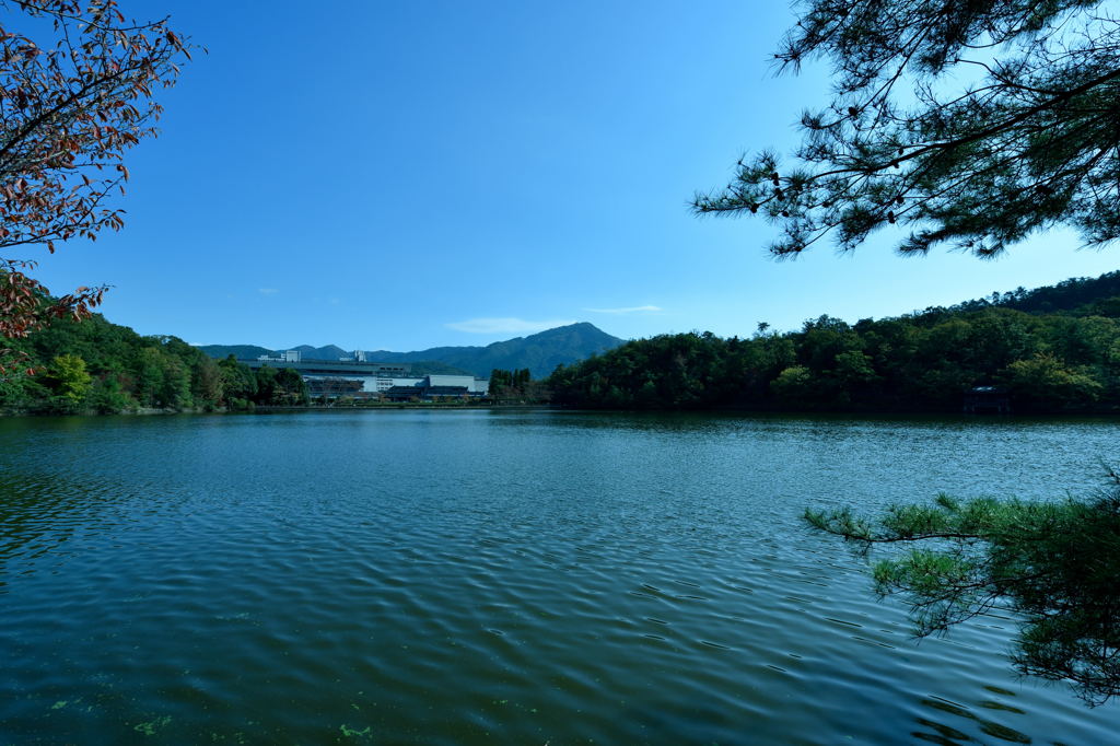 遠くに比叡山