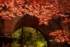 もう、赤くなりました・・・（9月27日）