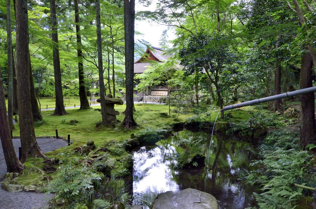往生極楽院を望む（三千院）