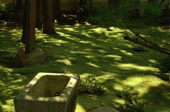 善慧院（東福寺塔頭）