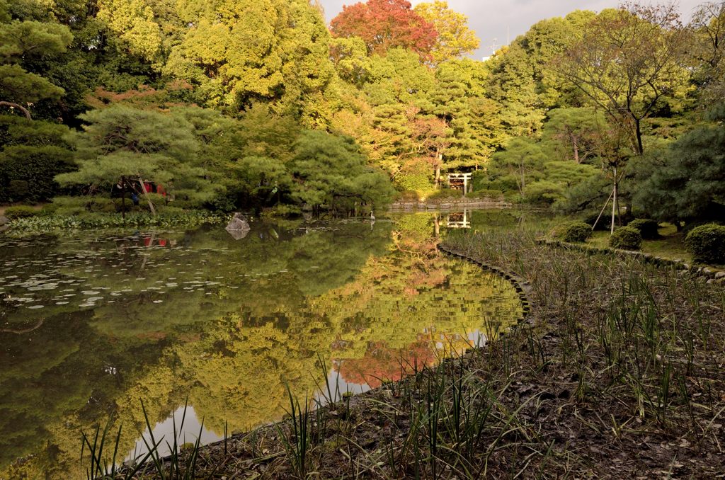 鏡の中の森＃２