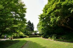 明月院の庭から本堂を