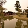 平等院・遠景