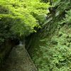律川