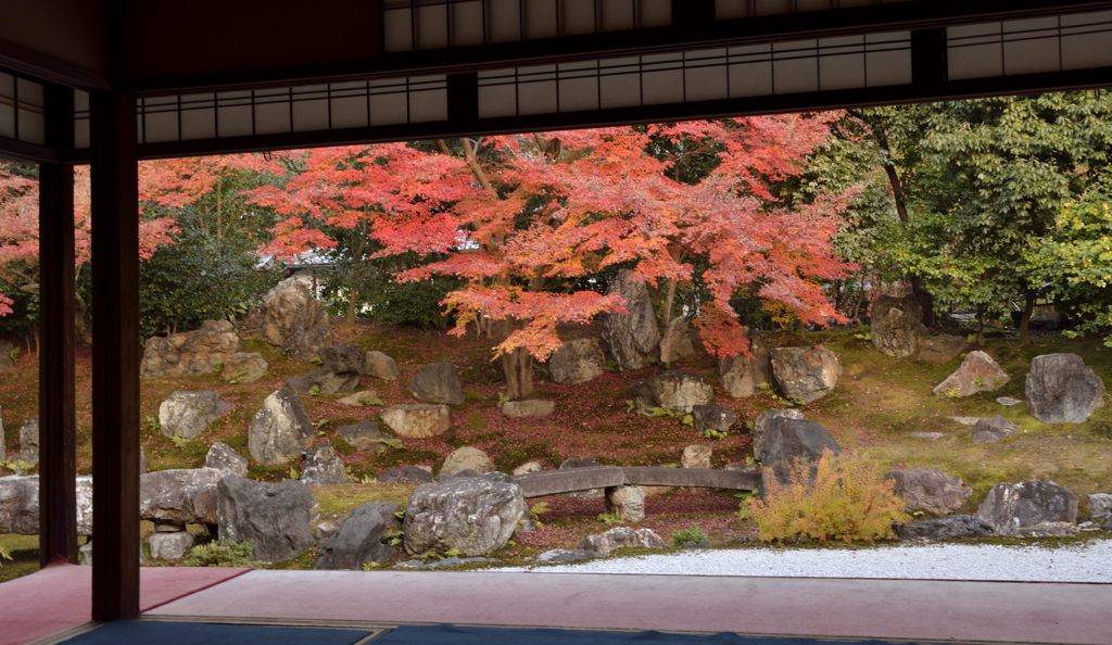 圓徳院・紅葉２０１３
