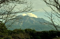 仙巌園からの桜島