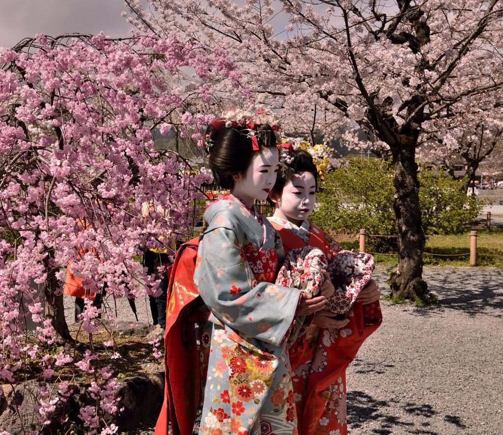 華やか