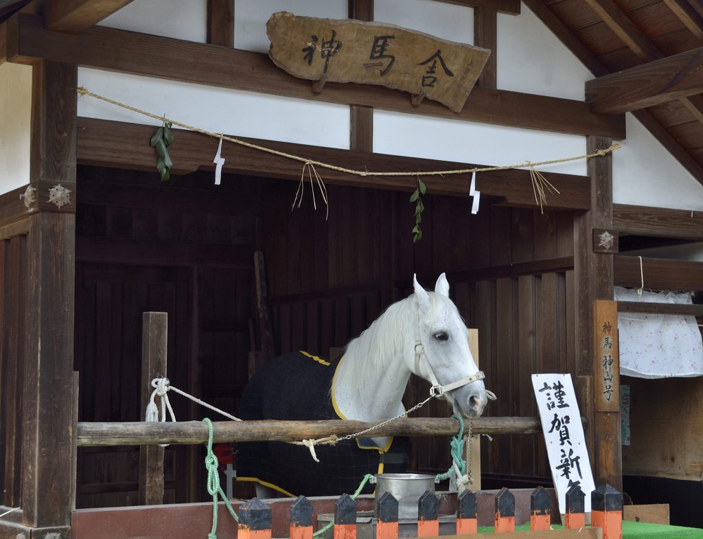 上賀茂神社（２０１４）＃２