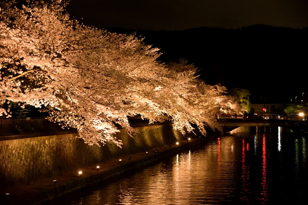 岡崎公園＃１