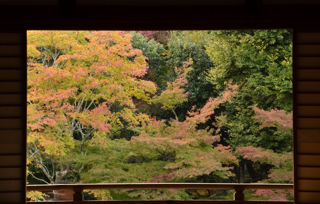 天龍寺・額縁紅葉