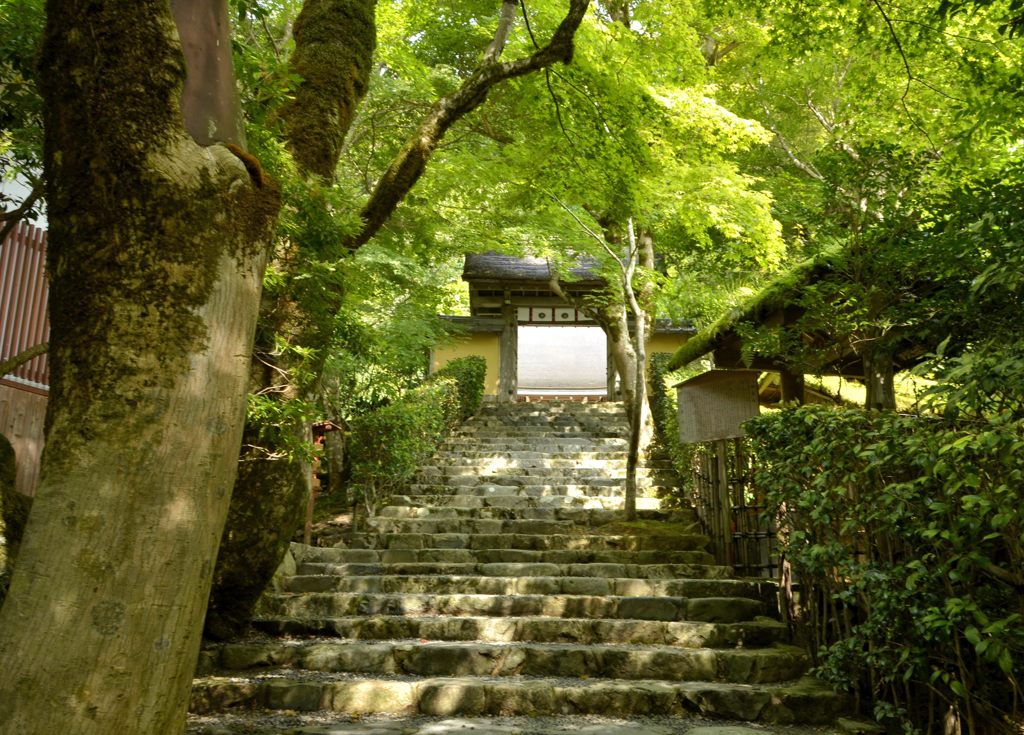 寂光院へのアプローチ