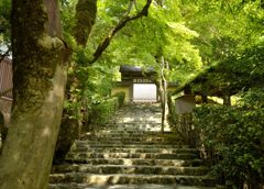 寂光院へのアプローチ