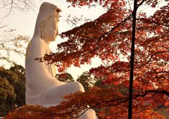 高台寺・紅葉２０１３（４）