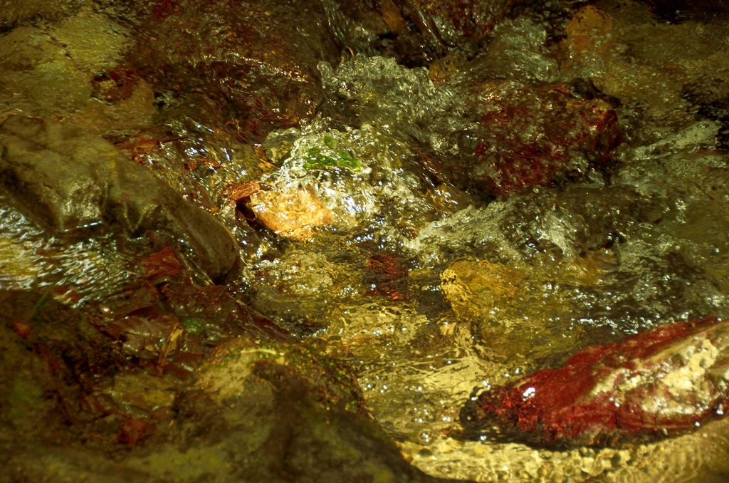 瀬見の小川の清流