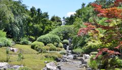 妙心寺（退蔵院「余香苑」）#4