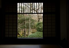 迷いの窓