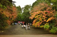 雨の中の霧島神宮